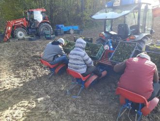 gospodarstwo-sadowniczo-ogrodnicze-sadmal-gwozdziec (29).jpg