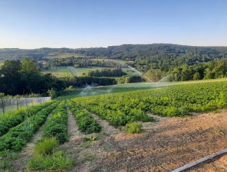 gospodarstwo-sadowniczo-ogrodnicze-sadmal-gwozdziec (5).jpg