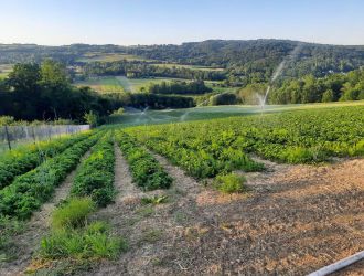 gospodarstwo-sadowniczo-ogrodnicze-sadmal-gwozdziec (12).jpg